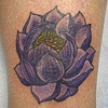 cover-up dragon w. lotus after