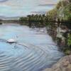Jacobs Swans IV