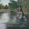 Commons Pond