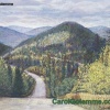 White Mountains