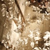 When skies are hanged, 2009