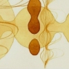 Untitled (chartruse-2)
