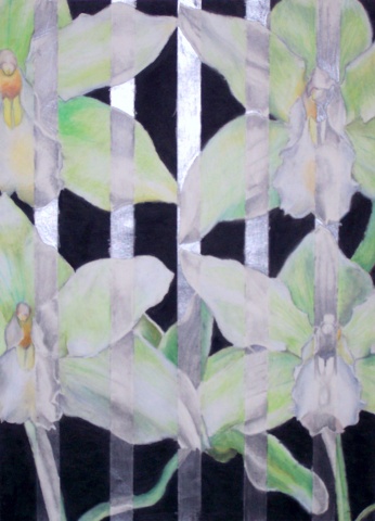 Orchids