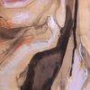 Portrait Detail