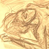 Studies/Sketches #4