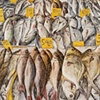 FISH MARKET IN CHINATOWN