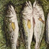 FOUR BASS
