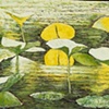 YELLOW LILIES