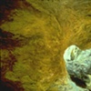 OUTSIDE CAVE
