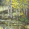 BIRCHES