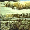 ICE FIELDS