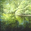 TREE REFLECTION