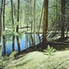 RAIN POND