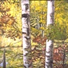 TWO ASPENS