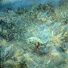 FISH WITH RED SPONGE