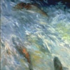 SALMON UPSTREAM