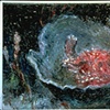 SCORPION-FISH IN SHELL