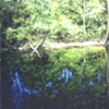 RIVERBANK REFLECTIONS