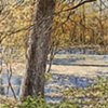WOOD RIVER