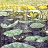 LILIES WITH YELLOW