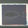 DARWIN'S FISH