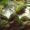 NOVA SCOTIA