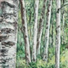 POSTCARD 339