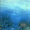 UNDERWATER SERIES #1