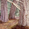 SEA RANCH NO. 1
