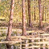 ASPENS & SHORELINE