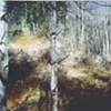 FIELD WITH BIRCH TREES