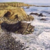 COVE