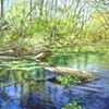 SUBMERGED WOOD