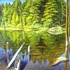 SHALLOW POND