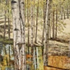 RAIN POND