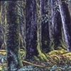 NEON REDWOODS