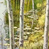 TREES IN POND