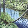 TREE ACROSS RIVER