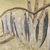 ELEVEN HERRING