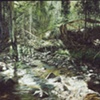 NOVA SCOTIA STREAM