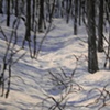 POSTCARD 509