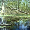 DEAD TREES