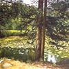 SINGLE TREE