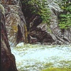RAPIDS