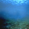 ABYSS