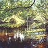 WEKIVA SPRINGS