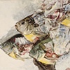 FISH GUTS