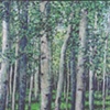 ASPENS