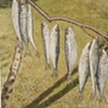 DIAGONAL SARDINES