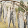 NINE HERRING